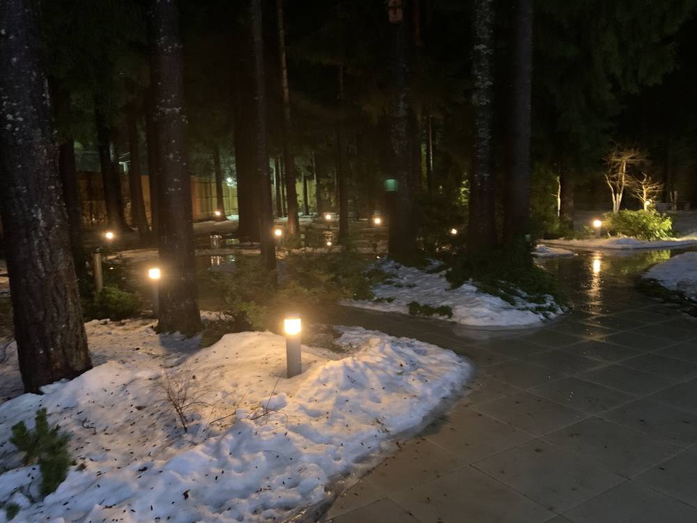 Ночная подсветка дорожки в сосновом лесу: садовые светильники вдоль мощёной дорожки, снег