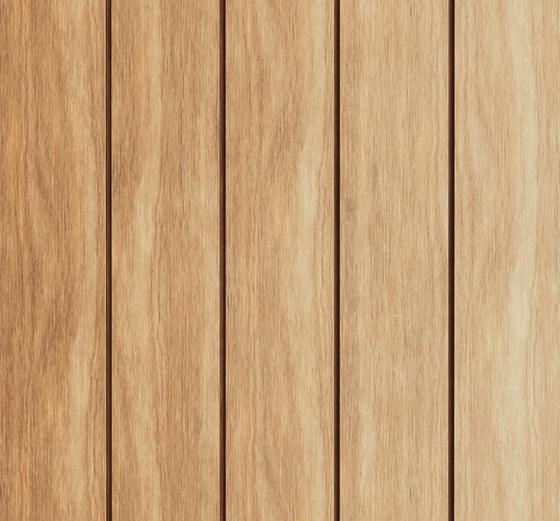 MAPLE (FS 21)